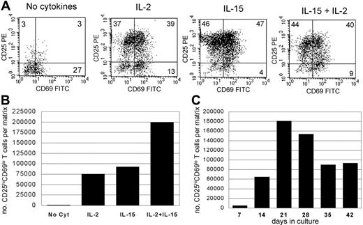 Figure 1. Significant numbers of CD25hiCD69lo skin-resident T cells are isolated from skin explants cultured in IL-2 and IL-15. (A) Skin from a single donor was cultured for 3 weeks on 3D matrices with or without exogenous IL-2 (100 IU/mL) and/or IL-15 (20 ng/mL). Large populations of CD25hiCD69lo T cells were observed in IL-15– and IL-2–treated cultures. (B) Explants cultured in both IL-2 and IL-15 produced the largest absolute number of CD25hiCD69lo T cells. (C) Explants cultured in IL-2 and IL-15 using skin from a second donor; maximal production of CD25hiCD69lo skin-resident T cells occurred at 21 days of culture. Experiments using skin from 5 different donors produced similar results. Numbers indicate the percentage of cells in each quadrant.