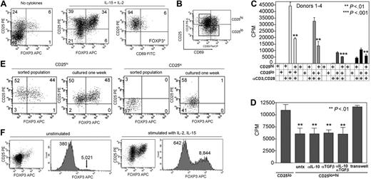 Figure 2. CD25hiCD69lo T cells isolated from skin contain a population of natural regulatory T cells. (A) Skin-resident T cells isolated from skin cultured in IL-2 and IL-15 contained increased numbers of FOXP3+ T cells that also expressed high levels of CD25 and low levels of CD69. (B) Skin-resident T cells isolated from explant cultures were sorted into CD25hiCD69lo and CD25lo populations. (C) CD25hiCD69lo T cells (CD25hi) were anergic to stimulation with soluble anti-CD3 and anti-CD28 antibodies (αCD3, CD28) and suppressed the proliferation of CD25lo T cells (CD25lo) isolated from the same sample of skin. (D) Suppression was not affected by neutralizing antibodies to IL-10 (αIL-10) and/or TGF-β (αTGF-β) but was dependent upon cell-cell contact. Suppression was prevented by separation of the CD25hi and CD25lo T-cell populations by a 0.4-μm pore membrane (transwell). (E) A subpopulation of sorted CD25hi T cells retain high expression of CD25 and FOXP3 after 1 week of culture on fibroblast monolayers in the presence of IL-2 and IL-15. Sorted CD25lo cells lack FOXP3+ T cells and FOXP3+ T cells do not develop after 1 week of culture under the same conditions. (F) FOXP3 was up-regulated in both Treg and non-Tregs with cell activation, but this did not obscure identification of Tregs. T cells isolated from skin were examined for FOXP3 expression before and after stimulation with IL-2 and IL-15. Dotplots demonstrate that a clear population of Tregs was discernible under both conditions. The mean fluorescent intensities for each peak are shown on the histograms. FOXP3 expression increased in both groups with stimulation, but the Treg population remained separated from non-Tregs by at least a log increase in FOXP3 staining intensity. For scatterplots, numbers indicate the percentage of cells in each quadrant. For bar graphs, error bars indicate standard deviation.