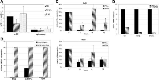 Figure 6. Gfi1 is present on Gfi1 target genes in monocytes. (A) ChIP analysis on sonicated chromatin of primary monocytes was performed using an α-Gfi1 antibody or a goat–IgG antibody as control (n = 2). Quantitative PCR was used to measure the amount of immunoprecipitated promoter, which was compared with the control genomic sequence of albumin. The percentage of recovery of the ChIP promoters was plotted as the fold increase over the percentage of recovery of albumin. Error bars indicate standard deviation. (B) The mRNA levels of Gfi1-regulated genes were measured using quantitative RT-PCR on mRNA from monocytes (n = 5) and granulocytes (n = 6). Expression in granulocytes was set at 100%. (C) ELA2 (top panel) and C/EBPα (bottom panel) quantitative RT-PCR was performed on RNA samples of HL60 cells during PMA- or ATRA-induced differentiation (n = 2). ELA2 and C/EBPα expression levels in untreated HL60 and U937 cells were set at 100% and values were normalized for β-actin expression. (D) ELA2, C/EBPα, and Gfi1 mRNA expression was measured using quantitative RT-PCR and were normalized for 18S rRNA expression. The levels in untreated cells (−MG132) were set at 100% and compared with MG132-treated HL60 cells.