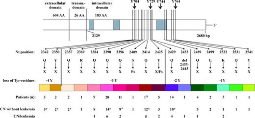 Figure 1. CSF3R mutations in patients with CN. *Including patients who underwent HSCT.