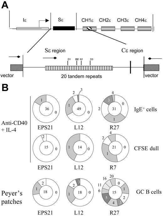 Figure 6. Sϵ mutation analysis. (A) Schematic map of the transgenic ϵ construct and Sϵ region that was used to evaluate the mutation frequency. The reported recombination sites are indicated within the tandem repeats. Sites D1 to D3 are reported by Dunnick et al,5 and site N1 is reported by Nikaido et al.44 (B) Pie charts depicting the proportion of sequences that carry 0, 1, 2, 3, etc mutations over the 681-bp region analyzed. The number of clones analyzed is shown in the middle. Clones with identical mutations were counted only once. The experiments are the same as the ones shown in Table 2.