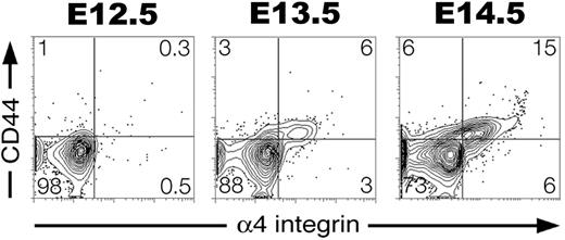 Figure 5. Developmental regulation of adhesion molecule expression on maturing primitive erythroid cells. EryP/GFP+ cells were gated and assessed for expression of CD44 and α4 integrin from E12.5 to E14.5. A subset of EryP/GFP+ cells up-regulated expression of both CD44 and α4 integrin adhesion molecules.