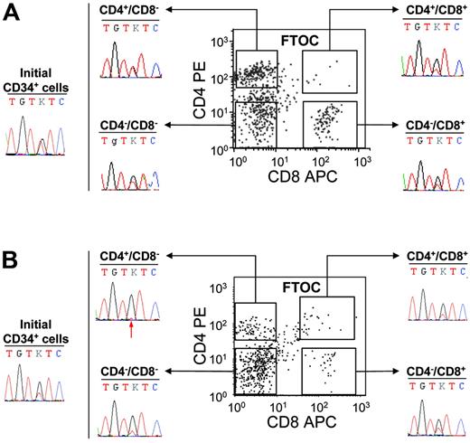 Figure 4. Detection of the JAK2 V617F mutation in FTOC-derived T-cell subpopulations from PV and IMF CD34+ cells. CD34+ cells (50 000) were cultured in fetal thymic lobes for 3 weeks as indicated in “Patients, materials, and methods.” At the end of the culture, cells collected from each thymic lobe were labeled by FITC-conjugated anti–human CD45, PE anti–human CD4, and APC anti–human CD8 monoclonal antibodies and analyzed by flow cytometry. Human CD45+ CD4+CD8−, CD4−CD8+, CD4−CD8−, and CD4+CD8+ fractions were subsequently sorted and sequenced. The immunophenotypic scattergrams and sequence traces of initial CD34+ cells and FTOC T-cell fractions from patients IMF6 (A) and IMF7 (B) are shown. The red arrow indicates the presence of a small mutant T peak at the threshold of detection.