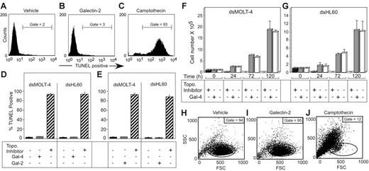Figure 3. Galectins induce PS exposure in cell lines without accompanying apoptosis. Representative histograms of dsHL60 cells treated with PBS (A), 10 μM Gal-2 (B), or 20 μM camptothecin (C) for 18 hours followed by flow cytometric analysis for DNA degradation (TUNEL assay). Error bars represent the standard deviation of duplicate samples. The dsMOLT-4 or dsHL60 cells were treated with 5 μM Gal-4 (D), 10 μM Gal-2 (E), or 20 μM topoisomerase inhibitors (etoposide for MOLT-4 cells or camptothecin for HL60 cells) for 18 hours followed by flow cytometric analysis for DNA degradation (TUNEL assay). The dsMOLT-4 cells (F) or dsHL60 cells (G) were treated with either 3 μM Gal-4 or 20 μM topoisomerase inhibitors (etoposide for MOLT-4 cells or camptothecin for HL60) for the indicated times followed by the determination of viable cell number by trypan blue exclusion using a hemocytometer. Results shown are the averages of duplicate analyses and are representative of at least 2 separate experiments. Error bars represent the standard deviation of duplicate samples. Representative dot plots for dsHL60 cells treated with PBS (H), 10 μM Gal-2 (I), or 20 μM camptothecin (J) for 18 hours followed by flow cytometric analysis for changes in the light-scattering properties of the cells. Gate values of cells experiencing no changes in forward- and side-scatter profile are shown.