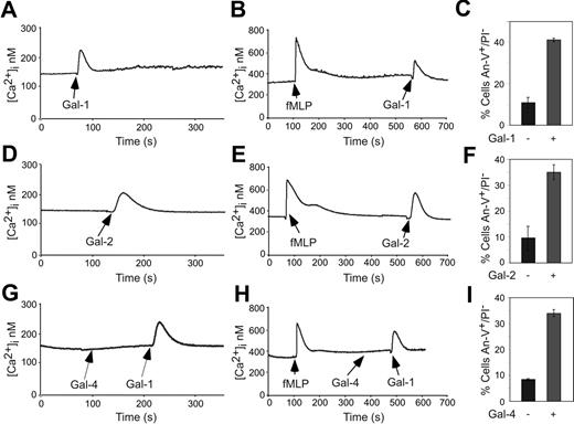 Figure 5. Gal-1 and Gal-2 but not Gal-4 induce Ca2+ flux in both resting and activated neutrophils. Resting neutrophils were treated with 10 μM Gal-1 (A), 10 μM Gal-2 (D), or 5 μM Gal-4 followed by 10 μM Gal-1 (G), followed by detection for changes in intracellular Ca2+ levels. Resting neutrophils were activated with fMLP followed by treatment with either 10 μM Gal-1 (B), 10 μM Gal-2 (E), or 5 μM Gal-4 followed by 10 μM Gal-1 (H), followed by detection for changes in intracellular Ca2+ levels. fMLP-activated neutrophils in parallel assays were treated with 10 μM Gal-1 (C), 10 μM Gal-2 (F), or 5 μM Gal-4 (I) for 4 hours followed by detection of PS exposure. Error bars represent the standard deviation of duplicate samples.
