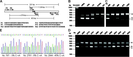 Figure 1. Allele-specific PCR assays and DNA sequencing of the JAK2V617F mutation. (A) PCR design and primer sequences. (B) Verification of allele-specific PCR analysis by using standard DNA plasmids. A 521-bp DNA fragment from genomic DNAs containing wild-type and JAK2V617F mutation with P1 and P1r primers and cloned into the pBluescript KS vector (Stratagene, La Jolla, CA). A total of 4 ng plasmid DNA mixtures containing the indicated amount of JAK2V617F mutant were subjected to PCR analysis with a primer mixture of P2, P2r, Pmr, and Pnf. (C-D) Allele-specific PCR analysis of blood genomic DNA. Genomic DNA was amplified by PCR with primers P1 and P1r and further amplified with allele-specific primer mixture P2, P2r, Pmr, and Pnf. PCR products were analyzed on 3% agarose and visualized with ethedium bromide staining. The expected PCR products were indicated by i (453 bp), ii (279 bp), and iii (229 bp). Among the blood DNA samples (C-D), nos. 787, 978, and 1385 are considered negative, and all the rest are considered positive. (E) Sequencing of PCR products from genomic DNAs amplified by using primers P1 and P1r. Sequencing was performed from the 3′-side with primer P1r. Percentages of the mutant in the total PCR products were determined by measuring the relative peak heights of DNA sequencing data in reference to those obtained with standard DNA mixtures containing known proportions of JAK2V617F and wild-type JAK2.