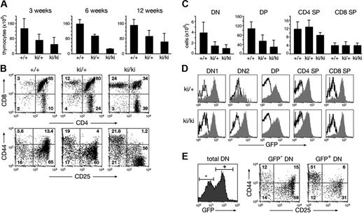 Figure 3. Abnormal T-cell development in IgHP5ki mutant mice. (A) Decreased cellularity of the thymus in IgHP5ki/+ and IgHP5ki/P5ki mice. The average number of thymocytes (× 106) was determined at 3, 6, and 12 weeks with at least 3 mice analyzed per genotype and time point. Error bars represent standard deviations of the mean. (B) Aberrant T lymphopoiesis in IgHP5ki mutant mice. Total Thy1.2+ thymocytes of 3-week-old mice were examined for CD4 and CD8 expression and the Lin−Thy1.2+ DN thymocytes for CD44 and CD25 expression. (C) Reduction of DN and DP thymocytes in IgHP5ki mutant mice at the age of 3 weeks. Absolute cell numbers (× 106) are shown for the indicated mice (at least 4/genotype). (D) GFP expression of the IgHP5ki allele (gray area) in the different thymocyte subsets. Black lines indicate the absence of GFP expression in wild-type thymocytes. (E) Variegated phenotype in a 6-week-old IgHP5ki/+ mouse. The CD44/CD25 expression profile is shown for gated GFP− and GFP+ cells of the Thy1.2+ DN thymocyte population.