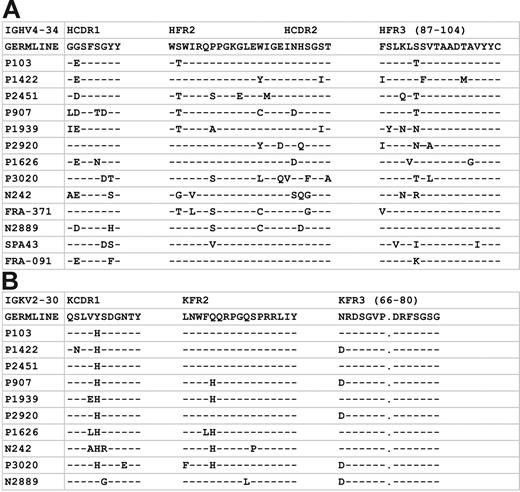 Figure 4. Replacement mutations in IGHV and IGKV sequences of subset no. 4. (A) Shared mutations in rearranged IGHV4-34 genes expressed by subset no. 4 cases. (i) IMGT-CDR1 codon 28: Gly→Asp/Glu, 9 of 13 cases; (ii) IMGT-FR2 codon 40: Ser→Thr, 5 of 13 cases; (iii) IMGT-FR2 codon 45: Pro→Ser, 4 of 13 cases; (iv) IMGT-FR3 codon 92: Ser→Thr, 4 of 13 cases. (B). Shared mutations in rearranged IGKV2-30 genes expressed by subset no. 4 cases. (1) IMGT-CDR1 codon 31: Tyr→His, 9 of 10 cases; (2) IMGT-FR2 codon 43: Gln→His, 5 of 10 cases; (3) IMGT-FR3 codon 66: Asn→Asp, 5 of 10 cases.