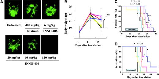 Figure. 4. Effects of INNO-406 in an in vivo CNS Ph+ leukemia model. (A) Brains taken at day 16 from untreated, imatinib mesylate–treated or INNO-406–treated mice that had received 5 × 104 Ba/F3/wt bcr-ablGFP cells. The data shown are representative of 3 independent experiments. (B) The body weights of mice that had received 5 × 104 Ba/F3/wt bcr-ablGFP cells and that were then not treated (black) or treated with imatinib mesylate (green, 400 mg/kg per day) or INNO-406 (yellow, 6 mg/kg per day; blue, 20 mg/kg per day; red, 60 mg/kg per day; pink, 120 mg/kg per day). BALB/cA Jcl-nu mice (C) and NOD/SCID (D) mice were inoculated into the right cerebral ventricle with 5 × 104 BaF3/wt bcr-ablGFP cells or 1 × 106 K562GFP cells, respectively, on day 0. Mice were given vehicle (black), imatinib mesylate (yellow, 120 mg/kg per day), or INNO-406 (light blue, 6 mg/kg per day; red, 20 mg/kg per day; pink, 60 mg/kg per day; dark blue, 120 mg/kg per day) for 14 consecutive days from day 5. *P < .05; **P < .01.