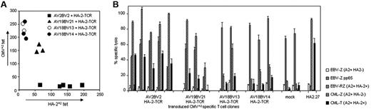 Figure 2. TCR repertoire analysis and functional analyses of the different types of HA-2–TCR-modified CMV-specific T clones. (A) The endogenous TCR repertoire was analyzed by RT-PCR and sequencing. To measure the expression level of HA-2 and CMV-TCR on the HA-2–TCR–transferred CMV-specific T-cell clones, the T cells were labeled with either PE-conjugated HA-2A2 tetramers or CMVA2 tetramers for 2 hours at 4°C. Four different types of HA-2–TCR–modified CMVA2-specific T clones were identified. (B) Representative T-cell clones of these 4 different types of HA-2–TCR–modified CMVA2-specific T cells, control-transduced CMVA2-specific T cells, and the original HA-2–specific T-cell clone HA2.27 were tested at an E/T ratio of 10:1 against HLA-A2+ HA-2− EBV-LCLs (EBV-Z), HLA-A2+ HA-2+ EBV-LCLs (EBV-RZ), EBV-Z transduced with the CMV pp65 gene (EBV-Z pp65), HLA-A2+ HA-2− CML cells (CML-Z), and HLA-A2+ HA-2+ CML cells (CML-T) in an 18-hour cytotoxicity assay. Error bars indicate SD of triplicate culture.