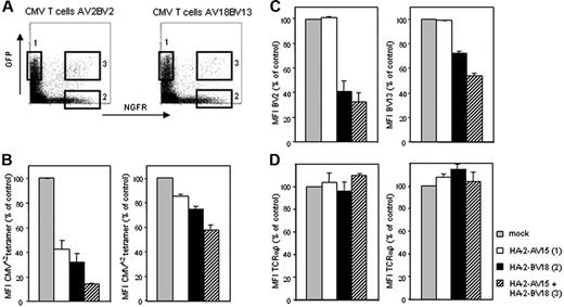 Figure 3. TCR transfer results in the formation of chimeric TCRs. Sorted AV2BV2 and AV18BV13 CMV-specific T cells (> 98% pure) were transduced with the HA-2–AV15-GFP and the HA-2–BV18-NGFR retroviral vectors. Seven days after transduction, the single- and double-transduced subsets were gated on bases of marker gene expression (A), the HA-2–AV15 single-positive cells were gated on bases of GFP+NGFR− (gate 1), the HA-2–BV18 single-positive cells were gated on bases of GFP−NGFR+ (gate 2) and HA-2–AV18BV13 double-positive cells were gated on bases of GFP+NGFR+ (gate 3). Cells were analyzed for CMV-TCR expression using CMVA2 tetramers (B) and mAbs directed against the CMV-TCR β-chains BV2 or BV13 (C); in addition, total TCRαβ cell-surface expression was measured (D). In the figures the MFI of the staining is indicated as the percentage of control-transduced cells (100%) of 2 independent experiments. Error bars indicate SD.