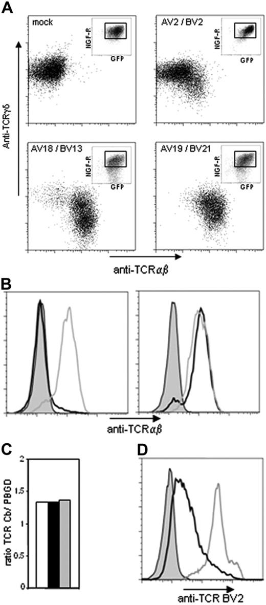 Figure 5. Analyses of cell-surface TCRαβ and TCRγδ expression and intracellular TCRαβ expression of γδ T cells transduced with different CMV-TCRs. (A) Peripheral-blood–derived γδ T cells were transduced with 3 CMV-TCR complexes and with control retroviral vectors only expressing the marker genes. Double marker gene–positive cells were sorted and expanded, and the TCRαβ and TCRγδ cell-surface expression of the GFP+ NGF-R+ population was determined by FACS. The marker gene expression of the transduced γδ T cells is shown in the small dot-plots. (B left) Intracellular staining of TCRαβ complexes in γδ T cells transduced with control vector (filled histogram), original AV2BV2-TCR (black line), and original AV18BV13-TCR (gray line) with anti-TCRαβ mAb using saponin treatment. (B right) Intracellular staining of TCRαβ complexes in γδ T cells transduced with control vector (filled histogram), chimeric AV2BV13-TCR (black line), and chimeric AV18BV2-TCR (gray line) with anti-TCRαβ mAb using saponin treatment. (C) TCR β-chain mRNA from γδ T cells transduced with AV2BV2 (□), AV19BV21 (▪), or AV18BV13 (⊡) TCRs was quantified by RT-PCR and normalized to PBGD. Similar results were obtained for the TCR α-chain mRNA expression in these different TCR-transferred γδ T cells (data not shown). (D) Intracellular staining of TCR BV2 in γδ T cells transduced with control vector (filled histogram), original AV2BV2-TCR (black line), and the chimeric AV18BV2-TCR (gray line) with anti-BV2–specific mAb using saponin treatment.