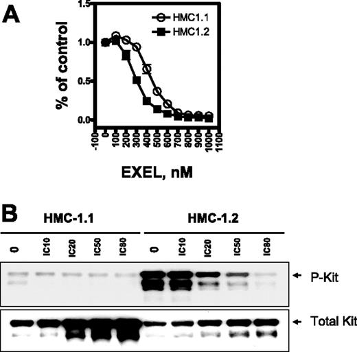 Figure 1. EXEL-0862 inhibits proliferation of human mast cells bearing D816V mutation and KIT phosphorylation. (A) Dose-response curves of HMC-1.1 and HMC-1.2 cells treated with EXEL-0862. Cells were exposed in vitro for 72 hours to increasing concentrations of EXEL-0862, and the MTS assay was used to evaluate growth inhibition. Graphs show data from a representative experiment performed in triplicate; error bars represent standard deviation. (B) KIT phosphorylation was inhibited by EXEL-0862 in a dose-dependent manner in HMC-1.1 and HMC-1.2 cells when exposed at the indicated concentrations for 3 hours. EXEL-0862 ICs were based on the MTS assay, as shown in panel A. Cell lysates were immunoprecipitated with antibody against KIT. Western blot analysis was performed with antiphosphotyrosine antibody.