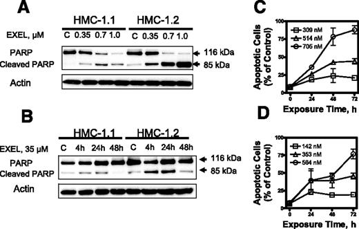 Figure 3. EXEL-0862 induces apoptosis in human mast cells expressing D816V KIT. (A) EXEL-0862 induced PARP cleavage in a dose-dependent manner. HMC-1.1 and HMC-1.2 cells were exposed to EXEL-0862 at the indicated concentrations for 24 hours. Cell lysates were analyzed by Western blot with antibody against PARP. (B) EXEL-0862 induced PARP cleavage in a time-dependent manner. Cells were treated with 0.35 μM for 4, 24, and 48 hours, respectively. PARP was analyzed by Western blot. (C-D) Apoptosis analysis by flow cytometry of HMC-1.1 and HMC-1.2 cells exposed to escalating concentrations of EXEL-0862 for 24 hours and subjected to annexin V-PI double staining. Cells stained with annexin V were defined as apoptotic. Ratios between apoptotic cells and total cells are plotted and represent the mean ± SEM of experiments performed in duplicate.