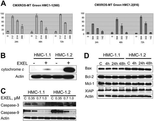 Figure 5. EXEL-0862 leads to mitochondrial damage, cytochrome c release, and activation of caspase-3 and -9. (A) Mitochondrial potential damage was elicited by EXEL-0862. Cells were exposed to EXEL-0862, stained with CMXRos and MTGreen, and immediately analyzed by flow cytometry. Histograms represent the population of cells with damaged mitochondrial potential. Values represent the mean ± SEM values from duplicate experiments. (B) EXEL-0862 treatment induced cytochrome c release into the cytosol. Cells were treated with 0.35 μM EXEL for 24 hours, and the cytosolic fraction was extracted with digitonin buffer. Cytochrome c was detected with immunoblots. (C) EXEL-0862 activated caspase-3 and -9. Cells were exposed to EXEL-0862 at the indicated concentrations for 24 hours. Cell lysates were analyzed by Western blot with antibodies against caspase-9 and caspase-3. (D) Cells were treated with 0.35 μM EXEL-0862 for 24 hours. Expression of apoptosis-related proteins was analyzed by Western blot.