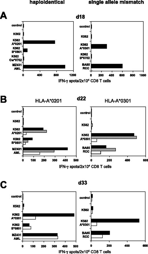 Figure 5. Efficient SAD in haploidentical and single HLA allele mismatch settings. (Left) CD8 T cells of healthy donor 308 were stimulated with haploidentical MZ431-AML blasts. (Right) CD8 T cells of HLA-A*0302pos healthy donor 410 were stimulated with BA85-RCC cells expressing A*0301 as the only HLA class I mismatch allele (for complete HLA types see Table 1). (A) IFN-γ ELISPOT results of day 18 MLLC/MLTC responders tested against AML/RCC cells and against K562 transfectants expressing the recipients HLA mismatch alleles. (B) Following 24 hours of incubation with K562-A*0201 or K562-A*0301, day 22 MLLC/MLTC responders were depleted of mismatch-reactive CD8 T cells using the CD137/CD65 approach. The resulting CD137/CD65neg fractions (white bars), the CD137/CD65pos fractions (gray bars), and the MLLC/MLTC controls stimulated exclusively with AML/RCC cells (black bars) were tested in IFN-γ spot assay. (C) The CD137/CD65neg fractions (white bars) and the MLLC/MLTC controls (black bars) were reevaluated on day 33 after stimulations with leukemia or tumor cells on day 22 and day 29.