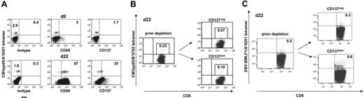 Figure 7. CMV and EBV-specific CD8 T cells persist within the allodepleted CD137neg cell subset. (A) Of CMV-seropositive healthy donor 724, fresh PBMCs (day 0) and allo-MLC CD8 responder cells (day 22) were stained with anti-CD8 and with anti-CD69, anti-CD137, or IgG isotype control, respectively, followed by incubation with the CMVpp65/A*0201 tetramer. Donor and MLC stimulator cells were matched for HLA-A*0201. Numbers refer to the percentage of positive cells per total CD8 T cells (left) or per gated tetramerpos CD8 T cells (italics). (B) Of CMV-seropositive healthy donor 837, haploidentical MLTC CD8 responders (day 22) obtained before and after CD137-mediated allodepletion were stained with anti-CD8 and the CMVpp65/B*0702 tetramer. Donor and MLTC stimulator cells were matched for HLA-B*0702. (C) EBV-BMLF1/A*0201 tetramer analysis on day 22 MLTC responders before and after anti-CD137 SAD. The EBV-seropositive healthy donor 203 was matched with haploidentical MLTC stimulator cells for HLA-A*0201. Numbers in panel B and C refer to the percentage of tetramerpos cells per total CD8 T cells with the isotype control subtracted.