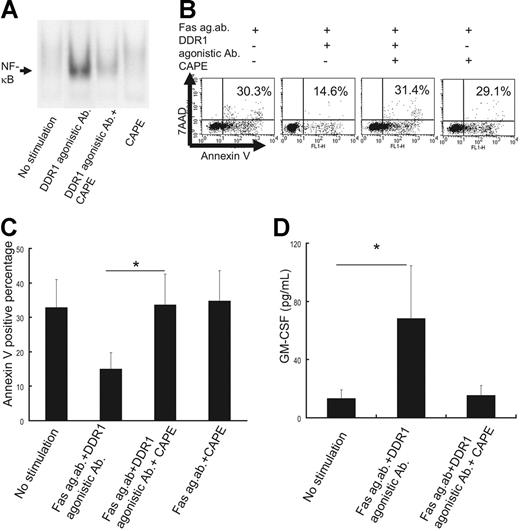 Figure 7. Effect of NF-κB–specific inhibitor CAPE. (A) Analysis of nuclear NF-κB translocation in the eosinophils of CSS patients in the presence or absence of CAPE. (B) Flow cytometry analysis of apoptotic cells in the presence or absence of CAPE. (C) Comparison of annexin V–positive cells in the presence or absence of CAPE. *P < .01 as compared with no stimulation, Bonferroni-Dunn test with 1-way factorial ANOVA). (D) Comparison of GM-CSF production from eosinophils of CSS patients in the presence or absence of CAPE (*P < .01 as compared with no stimulation, Bonferroni-Dunn test with 1-way factorial ANOVA). Error bars indicate standard deviation.