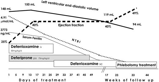 Figure 2. Echocardiographic findings during treatment and follow-up.