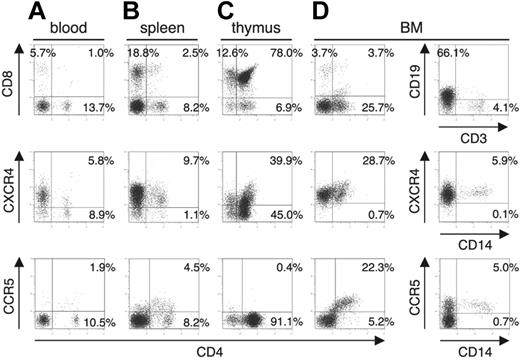 Figure 3. Surface expression of HIV-1 coreceptors on CD4+ cells in various organs of mice 4 months after transplantation. A representative FACS profile of human CXCR4 and CCR5 on CD4+ cells shows the existence of CXCR4+CD4+ and CCR5+CD4+ cells in blood (A), spleen (B), and BM (D), but no CCR5+CD4+ cells in the thymus (C). BM results show that many CD4+ cells are neither CD3+ T cells nor CD14+ monocytes. A gate was set on the human CD45+ population.