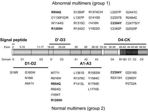 Figure 2. Missense mutations in index cases with normal and abnormal multimers. Pre-pro VWF, showing exons and protein domains encoded. The upper panel shows singly occurring mutations resulting in an abnormal multimer profile. The lower panel shows singly occurring mutations resulting in a normal multimer profile. Three substitutions in bold displayed both normal and abnormal multimers in different index cases.