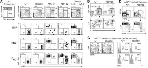 Figure 6. Characterization of cell-autonomous T-cell developmental defects. (A) Lin− thymocytes from transplant recipients were separated based on c-kit and CD25 expression into ETP (c-kit+ CD25−), DN2 (c-kit+ CD25+), and DN3 (c-kit− CD25+) populations (top panels), and each population was analyzed for donor FL and BM-competitor–cell contribution in the 3 panels below. Two independent recipients of transplanted Cbfbrss/−; FL cells are shown. Of the 9 transplant recipients of Cbfbrss/−; FL cells, 6 resembled the pattern seen with rss/−; (1) and 3 resembled rss/−; (2). (B) CD4 expression is derepressed in Cbfbrss/rss FL cells (bottom panels, arrows). (C) CD4 expression is up-regulated in the DN3 and DN4 populations. c-kit and CD25 were used to define the ETP, DN2, DN3, and DN4 populations from donor-derived Lin− cells (scatterplots). Antibodies in the lineage-specific cocktail did not include CD4. Each population was analyzed for CD4 expression (histograms). (D) CD4 is not derepressed in Cbfbrss/rss CD8 SP thymocytes. TCRβhi cells were analyzed for CD4 and CD8 expression in the panels below.