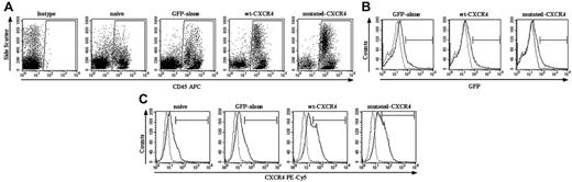 Figure 2. WHIM mutation of CXCR4 enhances engraftment of PBSCs in NOD/SCID mice. BM of NOD/SCID mice that received transplants of naive nontransduced PBSCs, PBSCs transduced with GFP only, or GFP plus either wt CXCR4 or mutated CXCR4 were analyzed at 6 weeks by fluorescence-activated cell-sorting (FACS) for the markers indicated on the x-axes. (A) After harvest from mice BM, cells were stained with anti–human CD45–APC or isotype antibody. Shown is a representative analysis from 1 mouse in each group, where the numerical averages for the groups are provided in the text. Enhanced human cell engraftment was observed in both mutated CXCR4 and wt CXCR4 groups compared with naive and GFP-only groups (n = 10, P < .01; see “Effect of excess expression of wt or mutated CXCR4 transgene on engraftment of human PBSCs in the NOD/SCID xenograft model for group values). (B) Shown is a representative set of graphs showing GFP expression in the gated population of human CD45+ leukocytes as the black solid line in each panel as labeled, with background fluorescence seen in the naive nontransduced group shown as the dotted line in each panel. There is no significant difference between the groups. It is important to note that these curves suggest that there probably are a significant number of weakly GFP+ transduced cells that are not counted when a gate is simply set to the 99.7 percentile of the naive control. The group numbers of percentage of GFP+ cells exceeding the 99.7 percentile for the naive group are given in the text under “Effect of excess expression of wt or mutated CXCR4 transgene on engraftment of human PBSCs in the NOD/SCID xenograft model.” (C) Shown is a representative set of graphs indicating the CXCR4 expression in the gated population of human CD45+ leukocytes as the black solid line in each panel as labeled, with the background level of fluorescence seen with labeling with isotype control antibody indicated by the dotted line. Note that there is as expected a significant amount of expression of native CXCR4 in the naive and GFP-only transduced populations of human CD45+ leukocytes from the BM xenograft. There is a highly significant amount of extra expression of transgene-derived wt CXCR4 and mutated CXCR4 in those transduced populations (n = 10, P < .01 for either the wt CXCR4 or mutated CXCR4 groups compared with the naive or GFP-only groups). Note that it is difficult to accurately assess the actual number of cells expressing the CXCR4 transgene over background native CXCR4. Here again, it is important to note that these curves suggest that there probably are a significant number of weakly CXCR4+ cells that are not counted when a gate is simply set to the 99.7 percentile of the antibody isotype control. The group numbers of percentages of CXCR4+ cells exceeding the 99.7 percentile for the naive group are given in the text under “Effect of excess expression of wt or mutated CXCR4 transgene on engraftment of human PBSCs in the NOD/SCID xenograft model.”