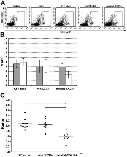 Figure 3. WHIM mutation of CXCR4 skews distribution of transduced human PBSCs after transplantation in NOD/SCID mice. Flow cytometry analysis was performed to measure GFP expression by the human CD45+ gated population from paired samples of bone marrow and peripheral blood from each mouse that received xenografts in each transplantation group. (A) After harvest from mice PB, cells were stained with anti–human CD45–APC or isotype antibody. Shown is a representative analysis from 1 mouse in each group where the numeric averages for the groups are provided in the text. There is no difference in the percentages of human CD45+ cells in all groups. (B) Average ± standard deviation (error bars) for GFP expression by engrafted human cells for each group for BM (⊡) or PB (□). Note that only with the mutated CXCR4 was the value for PB significantly lower than that for BM (P < .01). (C) Ratio of the value for PB/BM for each individual mouse in the group so that the actual raw data over the group can be assessed. The line shows the average for the group and is the same value as that of each □ divided by ⊡ in panel B. The lowest ratio was observed in the mutated CXCR4 group (n = 10 for GFP-only and wt CXCR4 groups, and n = 11 for mutated-CXCR4 group; *P < .01 for the comparisons shown in panel C).