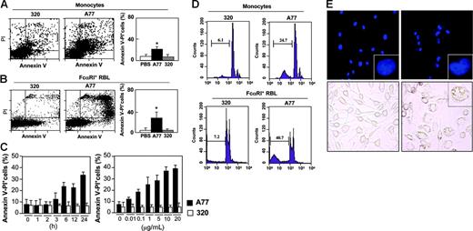 Figure 1. Induction of apoptosis by FcαRI targeting in human monocytes and FcαRI RBL-2H3 transfectants. (A-B) Analysis of annexin V/PI double-positive populations in human blood monocytes (A) and RBL-2H3 cells expressing WT FcαRI (B) after 24 hours of treatment with 10 μg/mL anti-FcαRI (A77) Fab or control (320) Fab. Cells were stained with annexin V and PI and analyzed by flow cytometry as described in “Materials and methods.” The mean ± SD percentage of annexin V/PI double-positive cells treated with PBS, 320, or A77 Fab in 5 experiments is shown. *P < .05. (C) Kinetic and dose-response analysis of annexin V/PI double-positive populations of WT FcαRI RBL-2H3 transfectants after treatment with 10 μg/mL anti-FcαRI (A77) Fab or control (320) Fab for 1 to 24 hours or for 24 hours with the indicated concentrations of A77 or 320 Fab. The percentage of annexin V/PI double-positive populations was determined as described in panel A. (D) Analysis of hypoploid nuclei in blood monocytes and WT FcαRI RBL-2H3 transfectants after treatment with 10 μg/mL anti-FcαRI (A77) or control (320) Fab for 24 hours. Cells were stained with PI and analyzed for the appearance of hypoploid nuclei as described in “Materials and methods.” Numbers indicate the percentage of cells with hypoploid nuclei (a sign of apoptosis). (E) Analysis of condensed apoptotic nuclei in WT FcαRI RBL-2H3 transfectants after 24 hours of treatment with 10 μg/mL anti-FcαRI (A77) Fab or control (320) Fab. Following treatment, cells were stained with DAPI as described in “Materials and methods,” before analysis by fluorescence microscopy (top panels; 40×/1.3 NA objective lens; insets represent a zoom of one of the nuclei.). Apoptotic cells have condensed nuclei and crescent shape (inset). Treated cells were also examined by light microscopy (lower panels, 40×/1.3 NA objective lens). Apoptotic cells contained large vacuoles (inset).