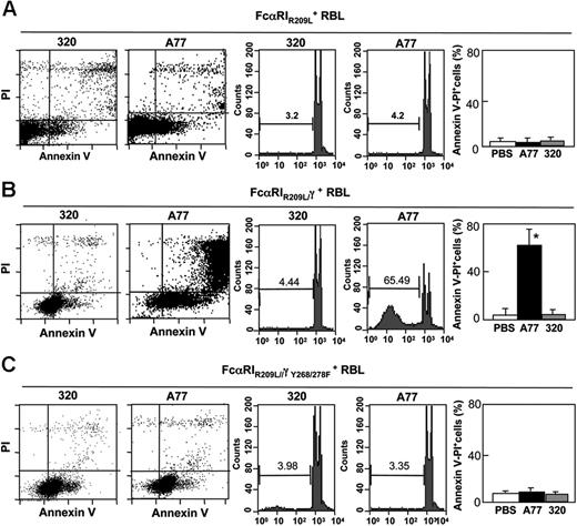 Figure 2. FcαRI-induced apoptosis is mediated by FcRγ ITAM. Induction of apoptosis in RBL-2H3 cells transfected with transmembrane mutated FcαIRR209L (A), chimeric FcαRIR209L/γ (B), or chimeric ITAM-mutated FcαRIR209L/γY268/278F (C). Cells were treated with 10 μg/mL A77 or irrelevant control (320) Fab for 24 hours before annexin V/PI staining (left panel) or analysis of hypoploid nuclei (middle panel) as described in “Materials and methods.” The percentage of apoptotic (annexin V/PI double-positive) cells is shown (right panel). Values are the percentages of double-positive cells and are means ± SD of at least 3 separate experiments performed in duplicate. *P < .01.