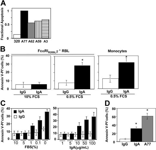 Figure 3. Induction of apoptosis in FcαRI RBL transfectants and blood monocytes by purified human IgA. (A) Comparison of apoptosis induction in chimeric FcαRIR209L/γ RBL transfectants treated with different anti-FcαRI Fab fragments. Cells were incubated for 24 hours with 10 μg/mL A77, A62, A59, A3, or control (320) Fab fragments and the percentage of apoptotic cells was determined by analysis of the annexin V/PI double-positive population. One representative experiment of 3 is shown. (B) Induction of apoptosis in chimeric FcαRIR209L/γ RBL transfectants and blood monocytes by IgA was measured in the presence of 10% or 0.5% serum. Cells were treated with 50 μg/mL human IgA or control human IgG for 10 hours before annexin V/PI staining. Values indicate the percentage of double-positive cells and are means ± SD of at least 3 separate experiments performed in duplicate. *P < .01. (C) Comparison of apoptosis induction in chimeric FcαRIR209L/γ RBL transfectants after incubation with 50 μg/mL IgA and 10 μg/mL A77 Fab in the presence of 0.5% serum. After 10 hours cells were analyzed for annexin V/PI double-positivity as described in “Materials and methods.” Values indicate the percentage of double-positive cells and are means ± SD of at least 3 separate experiments performed in duplicate. (D) Analysis of apoptosis in chimeric FcαRIR209L/γ RBL transfectants after treatment with 50 μg/mL human IgA (□) or control IgG (▪) in the presence of various percentages of serum (left panel) and after treatment with various concentrations of immunoglobulin in the presence of 0.5% serum (right panel). After 10 hours cells were analyzed for annexin V/PI double-positivity as described in “Materials and methods.” Values indicate the percentage of double-positive cells and are means ± SD of at least 3 separate experiments performed in duplicate. *P < .01.