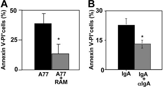 Figure 4. FcαRI monovalent targeting induces apoptosis more strongly than multimeric targeting. (A) FcαRIR209L/γ RBL transfectants were incubated with 10 μg/mL anti-FcαRI (A77) Fab or preformed complexes of anti-FcαRI (A77) F(ab′)2 and F(ab′)2 rabbit anti–mouse IgG. After 24 hours cells were analyzed for annexin V/PI double-positivity as described in “Materials and methods.” Values indicate the percentage of double-positive cells and are means ± SD of at least 3 separate experiments performed in duplicate. *P < .01. (B) FcαRIR209L/γ RBL transfectants were incubated with 50 μg/mL IgA or preformed complexes of 50 μg/mL IgA and 100 μg/mL goat anti–human IgA. After 10 hours cells were analyzed for annexin V/PI double-positive population as described in “Materials and methods.” Values indicate the percentage of double-positive cells and are means ± SD of at least 3 separate experiments performed in duplicate. *P < .01.