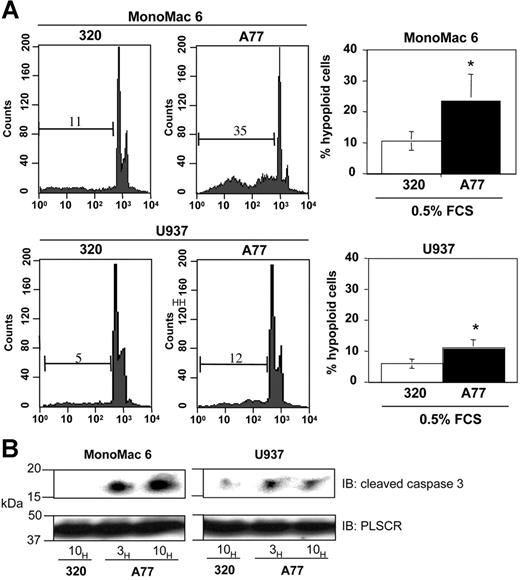 Figure 6. Induction of apoptosis by FcαRI targeting in human monocytic cell lines. (A) Induction of apoptosis in MonoMac6 or U937 cells after 24 hours of treatment with 20 μg/mL anti-FcαRI (A77) Fab or control (320) Fab. Cells were stained with PI and analyzed for the appearance of hypoploid nuclei as described in “Materials and methods.” Numbers indicate the percentage of cells with hypoploid nuclei. Values indicate the percentage of double-positive cells and are means ± SD of at least 3 separate experiments performed in duplicate. *P < .01. (B) Analysis of the “cleaved” (activated) form of caspase-3 following anti-FcαRI Fab treatment. The MonoMac6 or U937 cells were treated with 20 μg/mL A77 or control (320) Fab for indicated times. Cells were then lysed, separated by SDS-PAGE, and transferred to PVDF membranes before immunoblotting with an antibody recognizing the cleaved form of caspase-3. To control for equal loading, blots were stripped and reprobed with antiscramblase (PLSCR) antibody plus goat anti–rabbit Ig-HRP. One representative experiment of 3 is shown.
