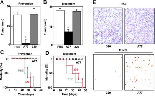 Figure 7. Monovalent targeting of FcRI prevents and arrests subcutaneous tumor development by FcαRI RBL transfectants in nude mice. Nude mice (6/group) were injected subcutaneously with WT FcαRI RBL transfectants. In the prevention model (A,C), animals were treated intraperitoneally with 50 μg anti-FcαRI (A77) Fab, control (320) Fab, or PBS on days 0, 3, 6, 9, 12, 15, 18, and 21. In treatment model (B,D), mice were treated intraperitoneally with 50 μg anti-FcαRI (A77) Fab, control (320) Fab, or PBS on day 12 when tumors had started to develop followed by injections on days, 15, 18, and 21. (A-B) Tumor size was evaluated on day 25 and is represented as the mean ± SD (n = 6). (C-D) Survival of mice treated with PBS, 320 Fab, or A77 Fab. (E) TUNEL analysis of RBL tumor cells after treatment with control (320) Fab or anti-FcαRI (A77) Fab. Images show PAS staining of formalin-fixed tumor sections. Apoptotic cells were visualized by TUNEL analysis of cryosections as described in “Materials and methods (10×/0.30 NA objective lens).