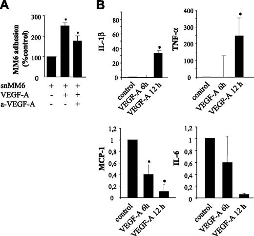 Figure 5. Paracrine effects of VEGF-A on the adherence of Monomac6 (MM6) cells to HUVECs. (A) Endothelial HUVEC monolayer was stimulated with the supernatant of MM6 cells (snMM6) treated with VEGF-A (same concentration). Note that with snMM6 the adherence of quiescent MM6 cells is significantly increased. Neutralization of VEGF-A by neutralizing antibodies in the supernatant of VEGF-A–treated MM6 cells significantly decreases the adherence of MM6 cells, which is still significantly increased in comparison with the control. *P < .05. (B) Quantitative RT-PCR to map paracrine factors. Expression levels of IL-1β and TNF-α are increased, whereas IL-6 and MCP1 expression is almost completely inhibited by VEGF-A. *P < .05 versus control. Error bars indicate SD.