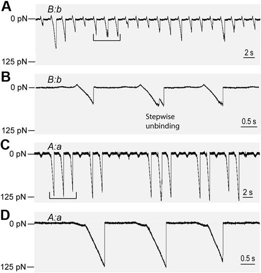 Figure 2. Rupture forces of B:b and A:a knob-hole interactions detected as voltage signals calibrated in force units. Portions of digitized raw data obtained using different surface-bound molecular pairs showing the forces exerted by the trap on the latex bead during a series of contacts (upward deflections) and separations (downward deflections). (A) Extended sequence of the B:b interactions appearing as weaker and variable rupture force signals. (B) Extraction from the data in panel A, showing a stepwise unbinding event indicative of multiple knob-hole interactions. (C) Extended data trace and (D) extraction of the A:a interactions appearing as strong homogeneous signals determined using laser tweezers and described in detail elsewhere.10