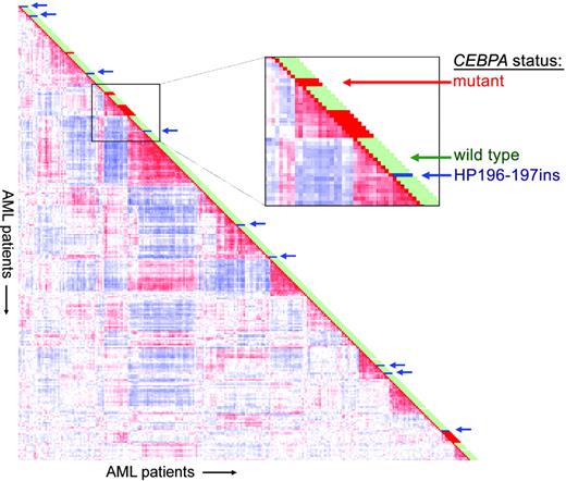 Figure 1. Correlation view of 285 AML cases including CEBPA status. Pairwise correlations between samples are displayed using 2856 probe sets as described.8 Colors of boxes visualize Pearson correlation coefficient: red indicates higher positive correlation; blue indicates higher negative correlation. Bars next to each sample represent CEBPA status: mutation in bZIP region and/or N-terminus (red), presence of HP196-197ins (blue), or neither (green). For 3 specimens, depicted in white, no material was available for dHPLC analysis. The figure was generated using HeatMapper software (http:www.erasmusmc.nl/hematologie/heatmapper/).10