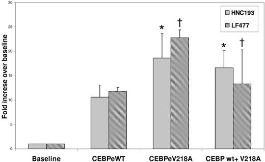 Figure 2. Transient cotransfection analysis of SGP promoter plasmids (HNC and LF) with wild-type and mutant C/EBPϵ expression plasmids in 32Dwt18 cells. 32Dwt18 cells were transiently cotransfected with HNC193 and LF477 (SGP) reporter plasmids (see “Patients, materials, and methods”) with 10 μg expression plasmids for wt C/EBPϵ (e) and mutant C/EBPϵ (V218A) either separately or together. Normalized luciferase values have been represented as a ratio of enzyme activity of SGP promoter plasmids plus C/EBPϵ expression plasmids to that of the SGP promoter plasmid without expression plasmids. The figure represents normalized mean ± SE obtained from 3 independent experiments, each performed in duplicate. Statistical analysis performed by Student t test revealed no statistical significance in the transactivation ability of wt and mutant plasmids. *P = .15; †P = .22.