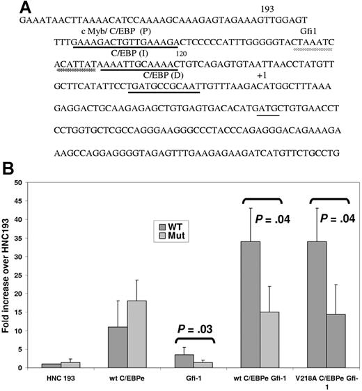 Figure 7. Transient transfection analysis of an SGP promoter (NC) harboring a Gfi-1 and a C/EBP site. (A) DNA sequence of the promoter of an SGP gene, neutrophil collagenase (NC). The first 193 bp of the human (HNC193) neutrophil collagenase promoter sequences representing the minimal promoter is illustrated. The 3 C/EBP sites (P, I, and D) are underlined in black and the conserved Gfi-1 sequence, in gray. The transcription start site is marked by a +1 sign and the translation start site ATG is indicated. (B) 32Dwt18 cells were transiently cotransfected with wild-type HNC193 (wt) or Gfi-1 mutant HNC193 (“Patients, materials, and methods”) and 10 μg expression plasmids for Gfi-1 and wt C/EBPϵ (e) separately or together. HNC193 (wt) was also cotransfected with the Gfi-1 expression plasmid and wt or V218A C/EBPϵ plasmids. Normalized luciferase values have been represented as a ratio of enzyme activity of HNC193 promoter plasmid plus C/EBP and/or Gfi-1 expression plasmids to that of HNC193 promoter plasmid without expression plasmids. The figure represents normalized mean ± SE obtained from 3 independent experiments, each performed in duplicate. Statistical significance was determined using Student t test, and the P values have been indicated.