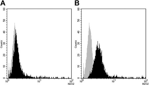 Figure 3. Hydrogen peroxide production (mean of fluorescence intensity; arbitrary units) in primed human peripheral-blood neutrophils before (gray curve) and after (black curve) stimulation with IVIg assessed by flow cytometry measuring the oxidation of dihydrorhodamine 123 to rhodamine 123 (x-axis; arbitrary units). (A) Oxidative burst induced by batch B1 (IgG ANCA 1:32, mean 1.72). (B) Oxidative burst induced by IVIg A1 (IgG ANCA 1:1024, mean 4.96). Incubation time 100 minutes, IVIg concentration 2.5 mg/mL in both experiments. Cells were prestimulated with TNFα (1 ng/mL) for 15 minutes.