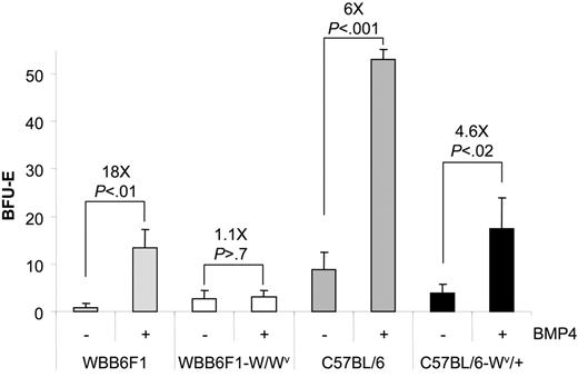 Figure 2. WBB6F1-W/Wv spleen contains few BMP4R cells. Spleen cells from WBB6F1 control, WBB6F1-W/Wv, C57BL/6 control, and C57BL/6-Wv/+ mice were plated in media containing Epo (3 U/mL) or Epo + BMP4 (15 ng/mL). The values indicated are the average of 2 mice each done in triplicate. The fold increase in stress BFU-Es when BMP4 was included in the media was calculated by dividing the number of stress BFU-E colonies observed in Epo + BMP4 by the number of stress BFU-E colonies observed in media containing only Epo. Error bars indicate SD.