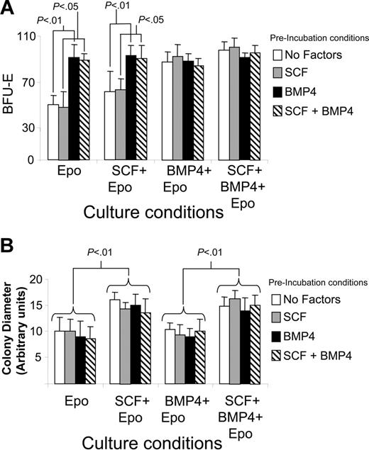 Figure 3. Analysis of the role of SCF and BMP4 in increasing the number and size of stress BFU-E colonies in vitro. Spleen cells from C57BL/6 mice were preincubated in media containing no factors, SCF, BMP4, or BMP4 + SCF for 24 hours as indicated. The cells were then washed and plated in methylcellulose media containing the indicated factors for 5 days. (A) Stress BFU-Es were scored, and (B) stress BFU-E colony diameter was measured. The results presented are the average of 2 independent experiments. Error bars indicate SD.