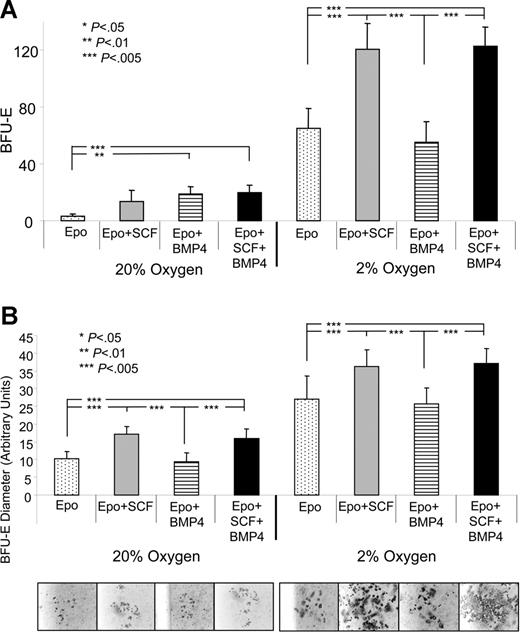 Figure 4. Hypoxia acts in concert with BMP4 and SCF to induce stress BFU-E expansion in vitro. Spleen cells were plated in methylcellulose media containing the indicated factors and grown at 20% or 2% O2. (A) Stress BFU-Es were scored after 5 days of culture. (B) The average diameter of stress BFU-E colonies was determined. Representative colonies are presented below each condition. The results presented are the average of 2 independent experiments.