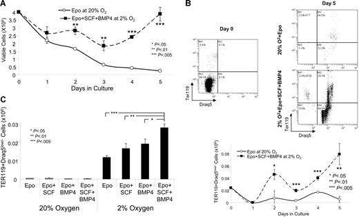 Figure 6. BMP4 + SCF + hypoxia promotes the terminal differentiation (TER119+Draq5low/−) spleen stress erythroid progenitors in vitro. Spleen cells were cultured in Epo at 20% O2 or Epo + BMP4 + SCF at 2% O2 (A-B) or in the indicated conditions (C) in liquid culture. (A). Viable cells were determined by trypan blue staining on the indicated days of culture. (B). Cells were stained on days 0 and 5 of culture for TER119 and Draq5. The top panel shows representative flow diagrams and the bottom panel shows the total number of Ter119+Draq5low/− cells in the culture at days 0 to 5. (C). Cells were grown in the indicated conditions, and the total number of Ter119+Draq5low/− cells in the culture is shown at day 4. The flow diagrams for this graph are presented in Figure S2. These data are representative of 3 independent experiments.