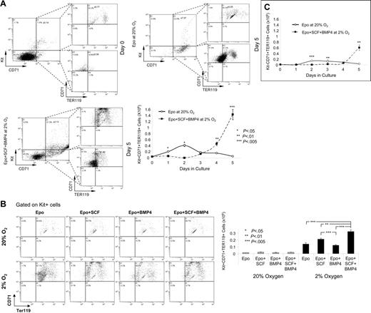 Figure 7. BMP4, SCF, and hypoxia preferentially expand Kit+CD71+TER119+ stress erythroid progenitors. (A) Flow cytometry analysis of Kit, CD71, and TER119 expression of spleen cells cultured in media containing Epo at 20% O2 or Epo + BMP4 + SCF at 2% O2. Top panel shows expression at day 0 and day 5 of culture. Bottom panel shows the total number of Kit+CD71+TER119+ cells on each day of the 5-day culture period. The flow diagrams for this analysis are presented in Figure S3. (B). The top panel shows the flow diagrams gated on Kit+ cells showing the expression of CD71 and Ter119. Bottom panel shows the total number of Kit+CD71+TER119+ cells at day 4 of culture in the indicated conditions. (C) Total number of Kit−CD71+TER119+ cells generated on each day when spleen cells were cultured in Epo at 20% O2 or Epo + BMP4 + SCF at 2% O2 for 5 days. The flow diagrams for these data are presented in Figure S4B. These data are representative of 3 independent experiments.
