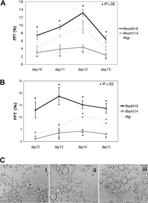 Figure 3. Differential effect of RhoAN19 and RhoAV14 overexpression on PPF. CD41+ MKs derived from CD34+ cells from leukapheresis or umbilical cord blood were infected either with Migr-GFP+ or Migr-RhoAV14-GFP+ or Migr-RhoAN19-GFP+. At 48 hours after infection GFP+ MKs were selected and then cultured. The effects of the constructs were studied on PPF. On the day indicated, the percentage of MKs exhibiting at least one PPT extension was determined by counting at least 300 MKs in each experimental group. Results are expressed as the mean ± SD of 3 independent experiments. (A) CD41+ MKs derived from leukapheresis CD34+ cells where PPF was scored every day from day 10 to day 13. Calculated percentages for each time point were 4.2%, 7.2%, 9.6%, and 4.2% for control Migr-GFP; 7.4%, 9.6%, 13.2%, and 6.4% for RhoAN19; and 3.1%, 3.9%, 4.4%, and 2.4% for RhoAV14 (t test; P < .05). (B) CD41+ MKs derived from umbilical cord blood CD34+ cells where PPF was scored every day from day 12 to day 15. Calculated percentages for each time point were 3%, 5.9%, 11.5%, and 8.3% for control Migr-GFP; 12.9%, 18.7%, 15.1%, and 13.7% for RhoAN19; and 1.1%, 3.5%, 4.3%, and 3% for RhoAV14 (t test; P < .03). (C) Representative micrographs of MKs derived from cord blood CD34+ at day 13: i, Migr-GFP+; ii, Migr-RhoAN19-GFP+; iii, Migr-RhoAV14-GFP+. Bars represent 20 μm.