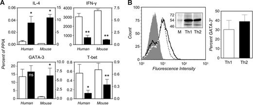 Figure 2. The GATA-3 gene is expressed at similar levels in human Th1- and Th2-skewed cultures. (A) Quantitative analysis of gene expression in human and murine in vitro–polarized Th cells. Naive Th cells were isolated from human peripheral blood or BALB/c spleens and cultured under Th1- (□) or Th2-skewing conditions (▪) as specified in “Materials and methods.” Cells were restimulated (5 hours) with PMA and ionomycin to induce cytokine production. RNA was extracted in parallel stimulated and unstimulated cultures for quantitative real-time RT-PCR (see “Materials and methods”). Transcript levels are expressed as percent of the housekeeping control, PPIA, calculated as 2−ΔCT. Values determined in human cells are plotted against the left y axes and those obtained in mouse against the right axes. Means ± SEM of 3 (mouse IL-4 and IFN-γ), 5 (mouse GATA-3 and T-bet; human IL-4 and IFN-γ), or 10 experiments (human GATA-3 and T-bet). *P < .05; **P < .005 relative to Th1; ns indicates nonsignificant. (B) Th1- and Th2-skewed cells were fixed and permeabilized and then stained with a GATA-3 mAb (see “Materials and methods”). The left histogram shows a typical experiment in which the level of staining for GATA-3 is compared in Th1 (dotted line) and Th2 cultures (solid line). The filled histogram is the Th1 population stained with a species- and isotype-matched control (a superimposable histogram was produced upon control staining of Th2 cells). The mean ± SEM frequency of GATA-3+ cells in 4 independent experiments is shown in the bar graph. The inset shows the electrophoretic mobility of the species recognized by the GATA-3 mAb (lower band) in whole-cell extracts from matching numbers of Th1 and Th2 cells. The upper band is generated upon staining for the housekeeping protein, α-tubulin. M indicates molecular weight markers.