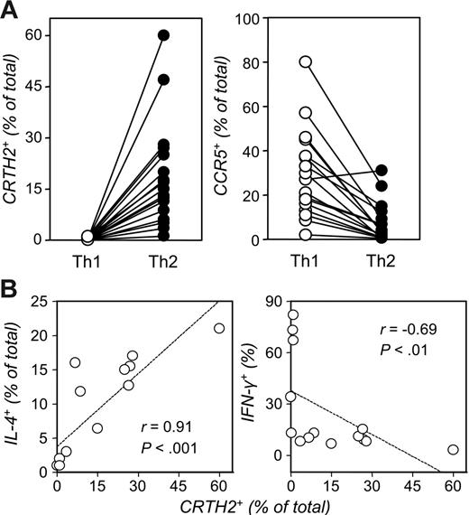 Figure 3. The occurrence of CRTH2+ and CCR5+ cells in human Th-cell–polarizing cultures. (A) Naive CD4+ T cells from 18 donors were polarized as detailed in Figure 1. Seven-day cultures were analyzed by FACS using PE-conjugated Abs for human CRTH2 or CCR5 (see “Materials and methods”). Each dot represents an individual donor (P < .001; paired t test). (B) Polarized Th cells from 14 donors were restimulated with PMA and ionomycin in the presence of monensin and then permeabilized and stained for expression of IL-4 or IFN-γ. Shown is the correlation (Spearman) of the frequencies of IL-4– or IFN-γ–producing cells with baseline expression of CRTH2 in parallel samples of Th2 cultures.