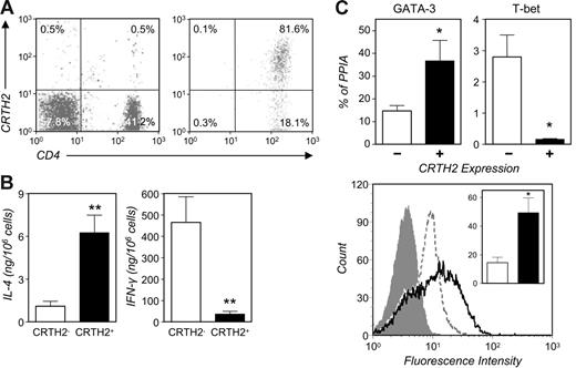 Figure 6. Ex vivo characterization of circulating CD4+CRTH2+ T cells. (A) CRTH2+ cells were enriched to more than 70% by positive selection from peripheral-blood CD4+CD45RO+ T cells (see “Materials and methods”). Shown is their frequency in the parental PBMC preparation and in the enriched fraction in a typical experiment. (B) CRTH2+ cell–enriched preparations consistently produced higher levels of IL-4 and lower levels of IFN-γ than CD4+CD45RO+CRTH2− cells in response to stimulation with PMA and ionomycin. Mean ± SEM cytokine production from 6 (IL-4) or 5 donors (IFN-γ). **P < .005. (C) GATA-3 expression in CRTH2-sorted peripheral-blood CD4+CD45RO+ T cells. Real-time RT-PCR and flow cytometry were used for quantitative analysis of GATA-3 expression at the RNA and protein level. The top panels show the mean (± SEM) GATA-3 and T-bet RNA levels in sorted preparations from 6 donors. The bottom panel shows GATA-3 flow cytometric determination in CRTH2+ (solid line) and CRTH2− cells (dotted line) from an individual donor (filled histogram: isotype control) and, inset, the mean ± SEM percent GATA-3+ cells in CRTH2+ (filled bar) and CRTH2− preparations (empty bar) in 3 donors. *P < .05.