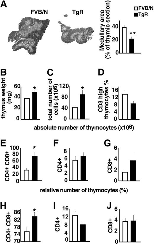Figure 5. Thymopoietic effects of the AChE-R splice variant. (A) Medullary areas in TgR and strain-matched FVB/N controls (P ≤ .01). (B) Heavier thymus weight in TgR mice (P ≤ .009). (C) Total numbers of thymocytes in TgR compared with FVB/N mice (P ≤ .007). (D). Thymuses from TgR mice included fewer CD3high thymocytes compared with FVB/N controls (P = .065). (E-G) Absolute number of CD4+CD8+, CD4+, and CD8+ thymic subsets. Note that, in TgR mice, the increased absolute cell number (panel C) was mainly due to the major double-positive (DP) subset, which was 2-fold increased compared with FVB/N controls (P ≤ .006; panel E), whereas CD4+ mature single-positive cells remained unchanged (F) and CD8+ subset increased (2-fold) but still remained the minority subset. (H-J) Relative number of those subsets brings further information. Increased CD4+CD8+ cell percentage (H) in transgenic thymuses (P ≤ .02) counterbalanced by a reduced percentage of CD4+ subset (I; P = .075) while the percentage of CD8+ subset (J) remained unchanged. Error bars show standard error of the mean (SEM). *P < .05.